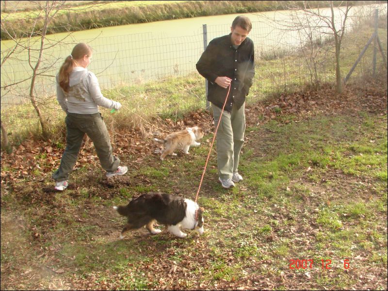 The drive from Lyon airport to home is about 5 hours so we stopped every hour to let the puppies walk about a bit.