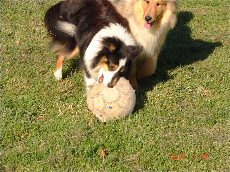 The ball is the enemy and must be destroyed.