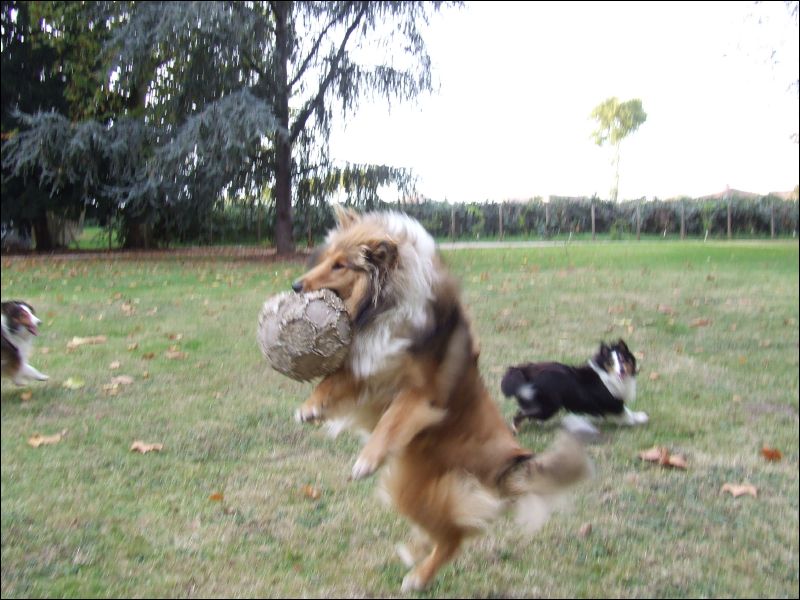 Another action shot of Cherie getting the ball.