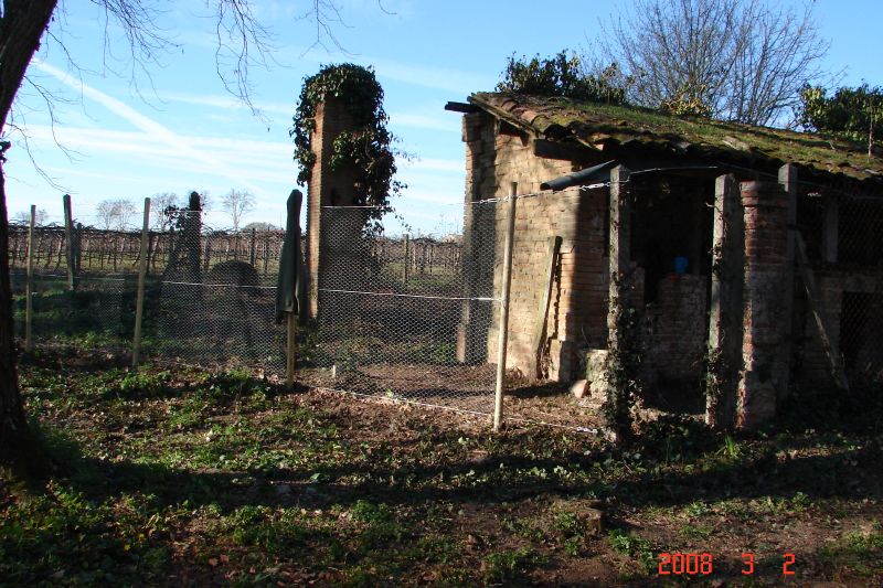 A ruin on the property that is soon to be a chicken house.  Note the new fencing we have put up.  Gate yet to be built.