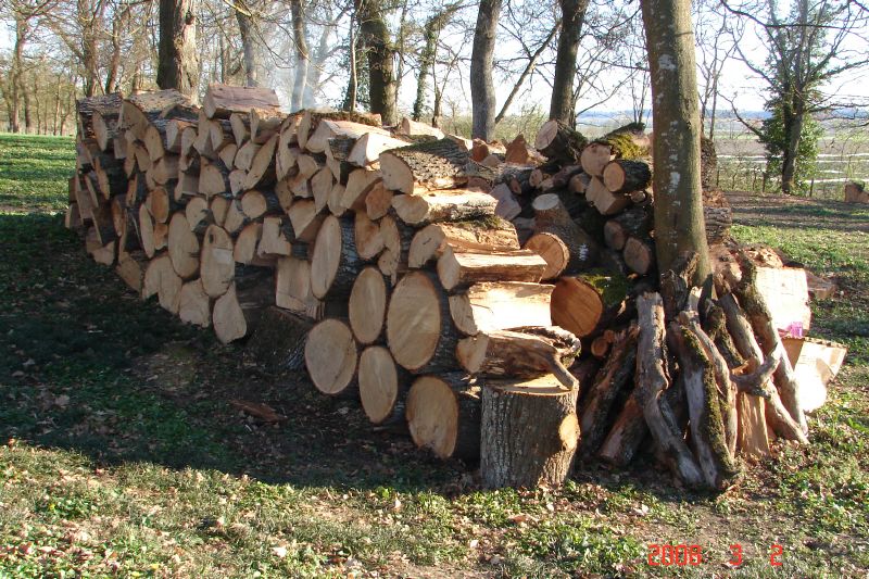 We are very proud of this growing stack of wood.  Notice that the pile is three layers deep. 
