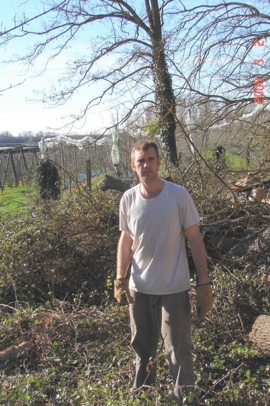 Daniel hauls and sorts wood and debris and tries to avoid getting entangled in the briar patch.