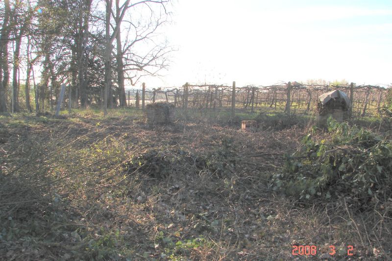 Where brambles have already been slashed and partly cleared.  It's a really big job. 