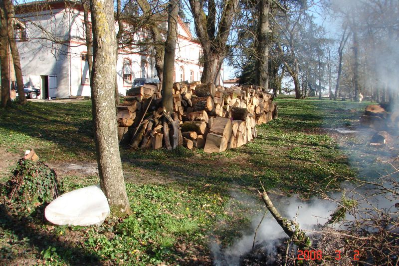 In addition to burning debris, we are building the world's biggest woodpile.  