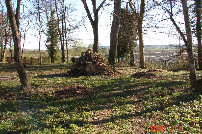 A big pile of tree limbs and other debris.