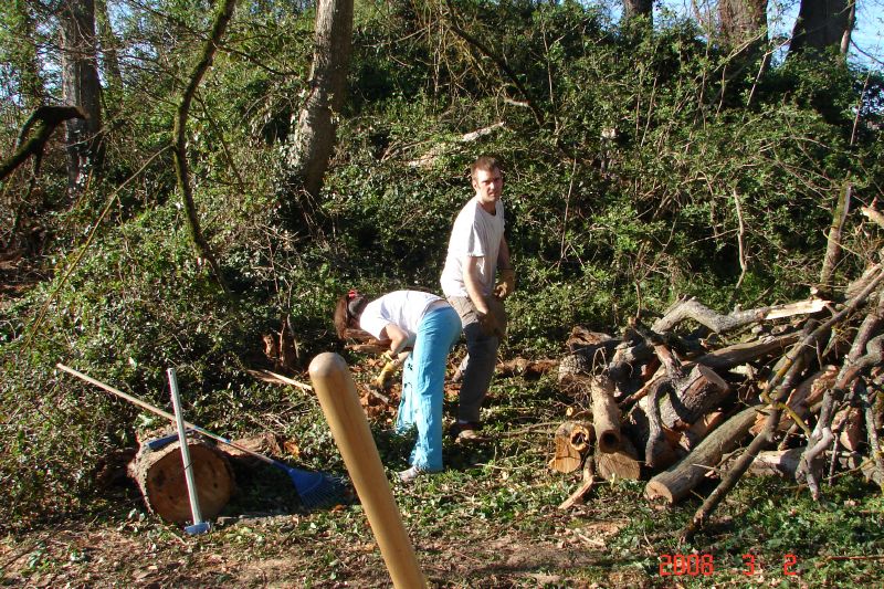 Cleaning the debris out of the brambles - CAREFULLY!