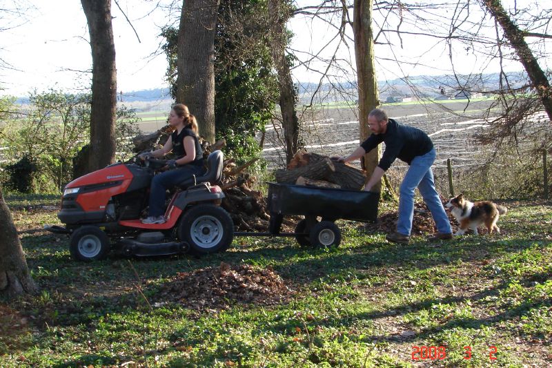 Hauling logs from the lower tree site to the woodpile with Laddie bringing up the rear.