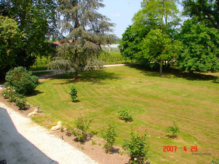 Chateau Park in the spring, view from front upstairs window.