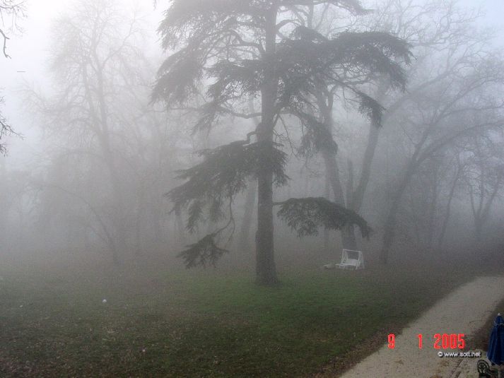 Chateau Park in the fog, view from a rear window