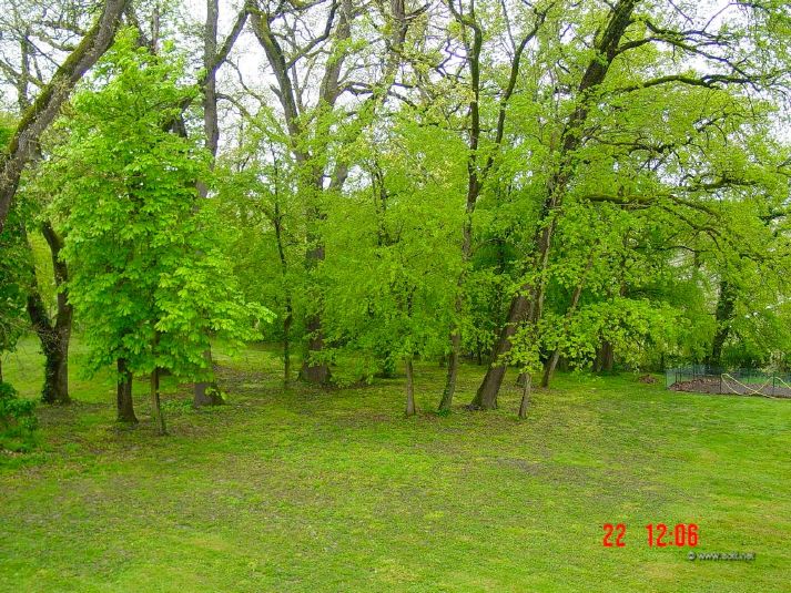 Chateau Park in the spring, view from upstairs window, rear.