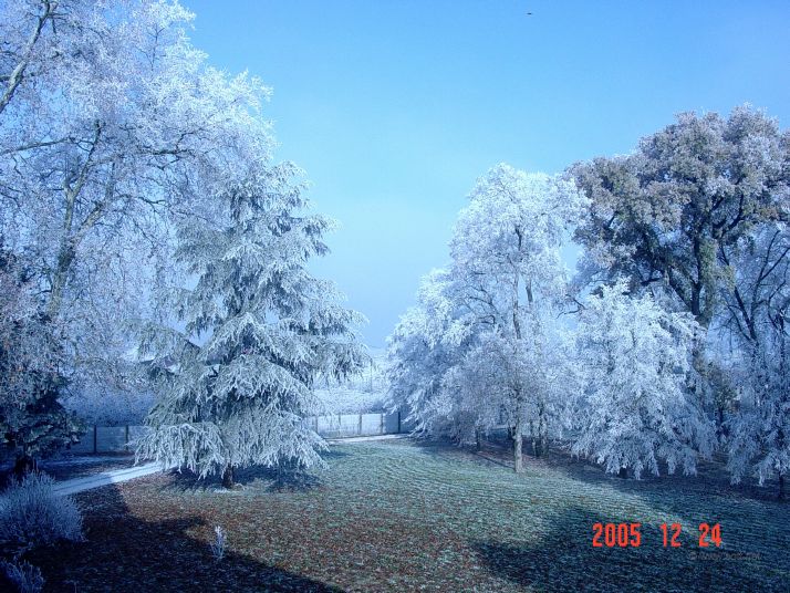 Chateau Park, view from front upstairs window