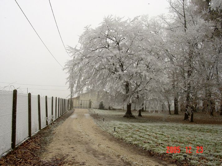 Drive, viewed from near the house. 