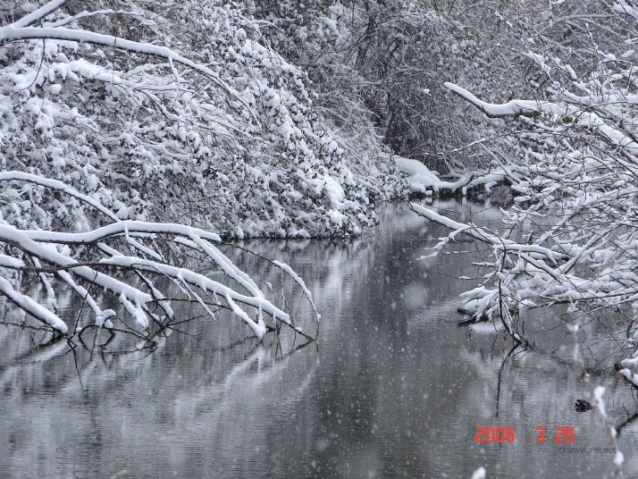 Spring of Saint Martin, rear of chateau park.