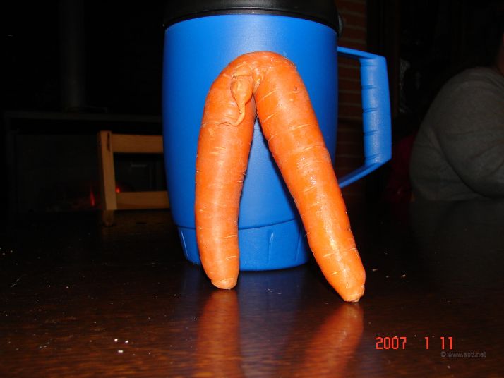 Very strange carrot!