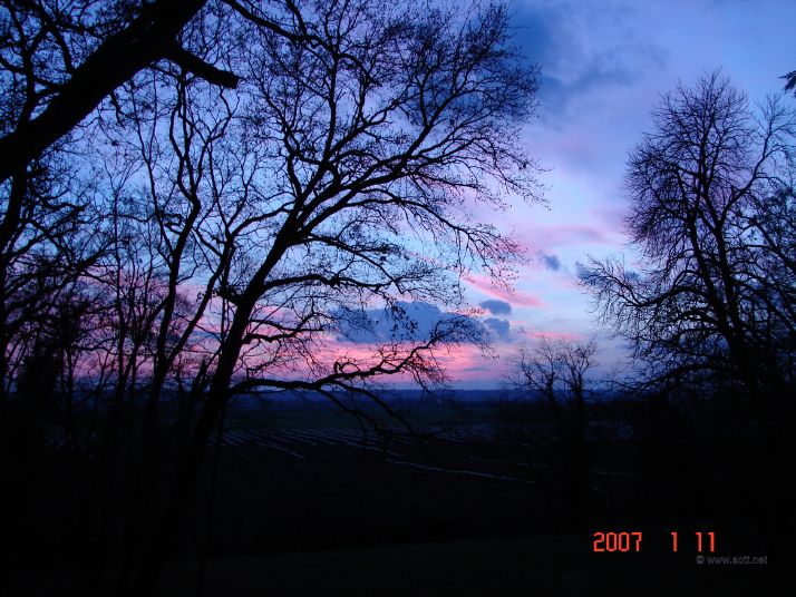 Photographed from upstairs window in the Chateau