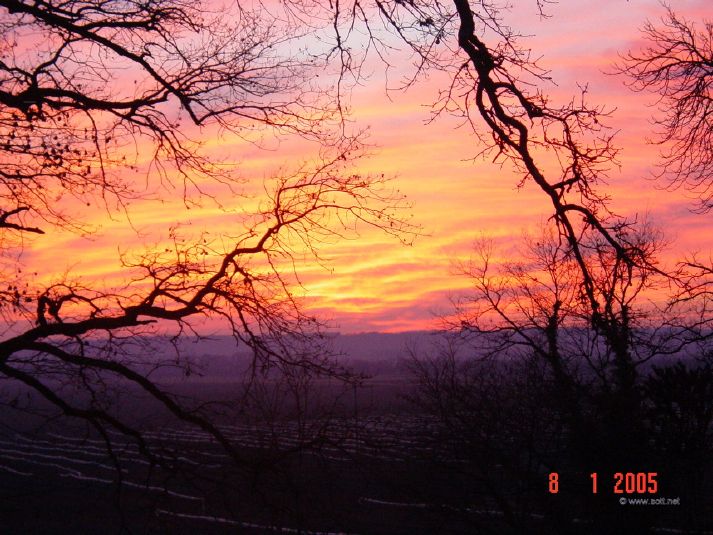 Photographed from upstairs window of the Chateau