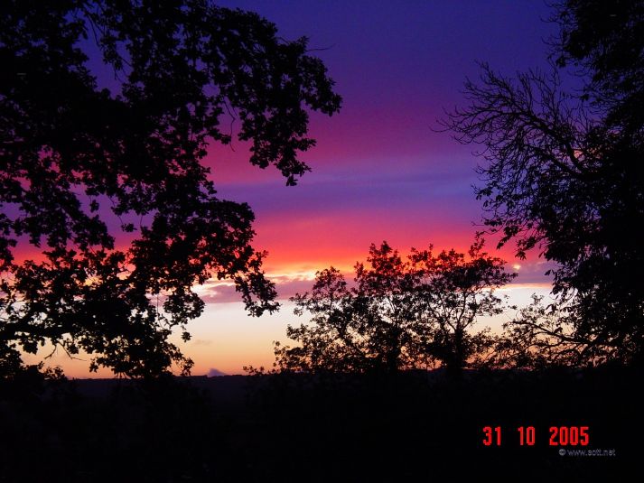 Photographed from upstairs window of the Chateau