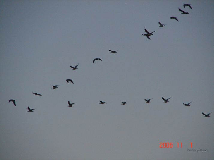 Photographed from the fields near the Garonne