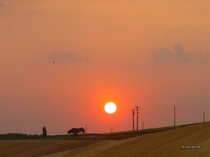 A sunset during the long drought of 2003.