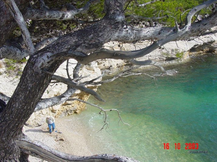 Beach in one of the calanques