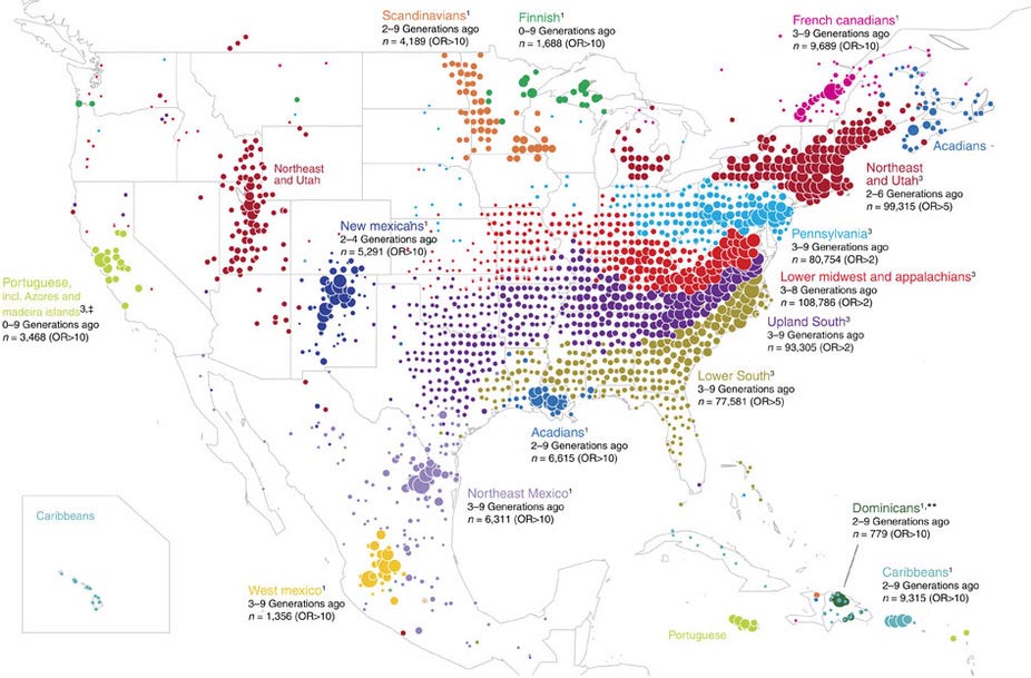 Albion Genes