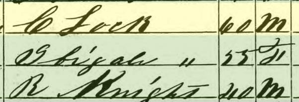 Knight 1860 census
