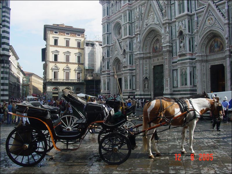 Carriage Tours in Florence/Firenze