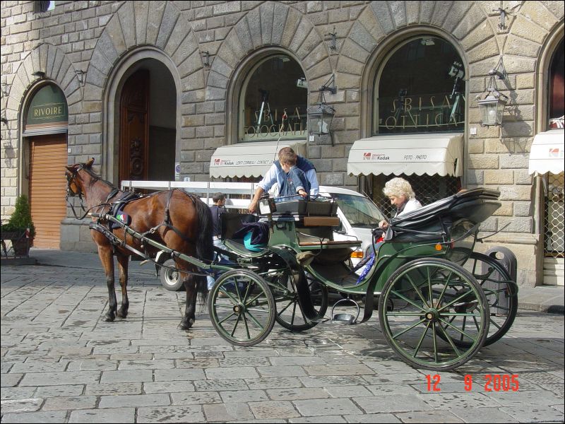 Carriage Ride in Florence/Firenze