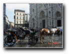 Carriage Tour in Florence - Firenze