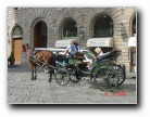 Carriage in Florence - Firenze