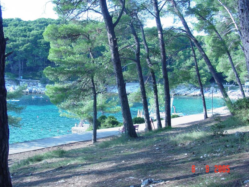 A view of the cove from the park around the hotel.