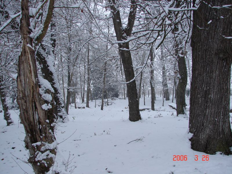 Snowy Chateau Park