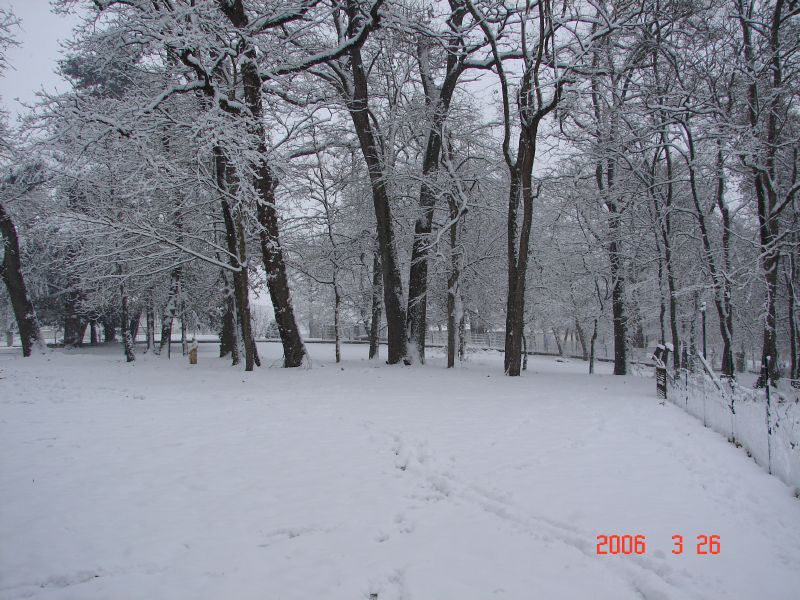 Snowy Chateau Park