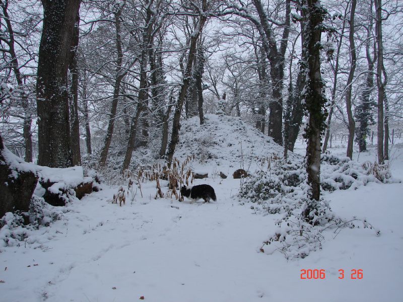 The Prehistoric Mound in the Snow