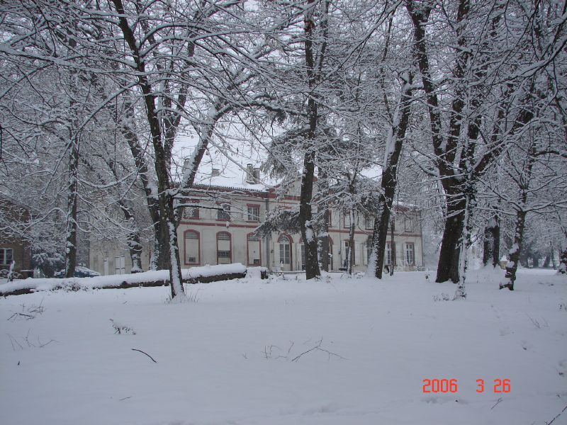 The Chateau Park