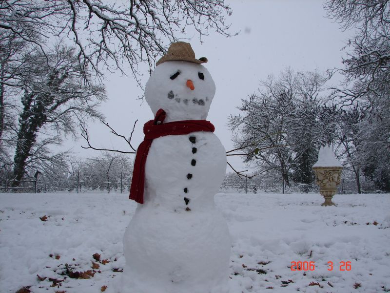 Mr. Snowman smiles benevolently.
