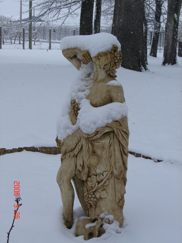 Dionysus is drunk on snow!